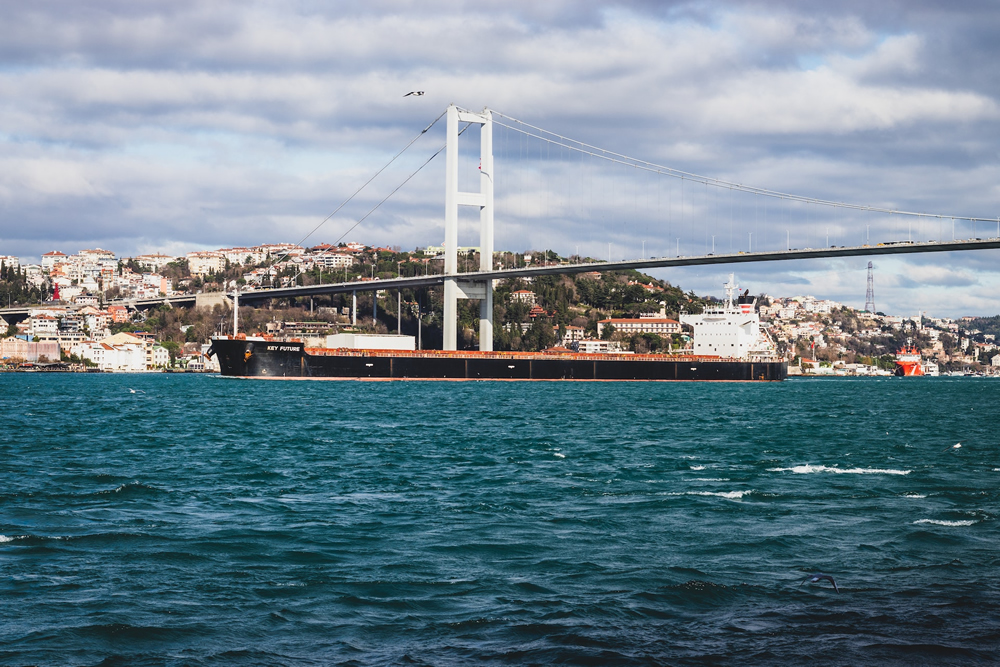 Transit Boğaz Acenteliği